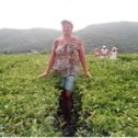 Фотография "на чайной плантации,2006"
