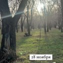 Фотография от Елена  Кирсанова