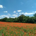 Фотография от Светлана Воротникова