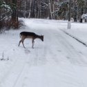 Фотография от саша пылин