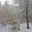 Фотография "10 мая! Вот и до южного Урала. снег добрался."