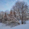 Фотография от Светлана Лазарева-Юдина