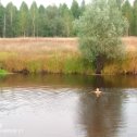 Фотография от Александр Заикин