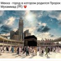 Фотография "(М)🕋☝️⏳🍃"