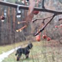 Фотография от Лариса Шаламова (Нечеухина)