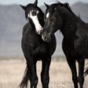 Фотография от Светлана Нужная