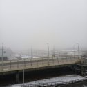 Фотография "12.12.2023. В Калининграде идёт дождь, туман. А в родном Чебаркуле - 37! "