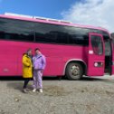 Фотография "Любимый розовый автобус"