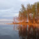 Фотография от Александр Васильевич Карпенко