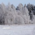 Фотография от Александр Лаврентьев