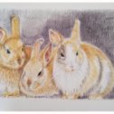 Фотография "Братцы кролики. А4. Цветные карандаши "