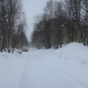 Фотография "Метет метель на  Кольском полуострове   Уже вторые сутки напролет..."