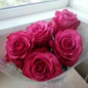 Фотография "Розовые розы в день рождения"