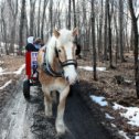 Фотография от Ольга Насаржевская