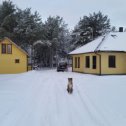 Фотография "Прекрасное апрельском утро в моей деревне..."