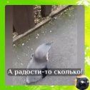 Фотография от Константин Батечко