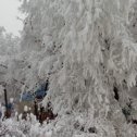 Фотография "Зимушка - зима!"