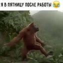 Фотография от Виктор Потехин