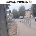 Фотография от Владимир Мишунин