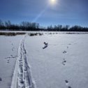 Фотография "Хорошо на речке в любое время года"