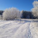 Фотография от Нина Савкина