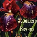 Фотография от Ирина Чевачина