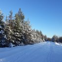 Фотография от Александра Лосева (Белозерова)