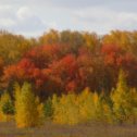 Фотография от наталья король(милищук)