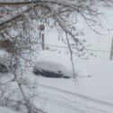 Фотография "С 9ого по 11 ое марта 2022был буран ,снегопад,вид с моего окна"