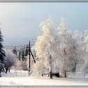 Фотография "С первым днём зимы, друзья! ;-)"