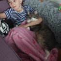 Фотография "Наша кошка Тифони и внук Максимка. "