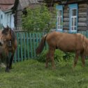 Фотография от Тина Огородникова