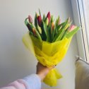 Фотография "#тюльпаныекатеринбург #цветыекатеринбург #доставкацветовекб #купитьбукетекб #купитьбукеттюльпановекб #екб #тюльпаны #купитьтюльпаны #заказатьтюльпаныекб"