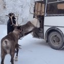 Фотография от Надежда Горелова (Самарина)