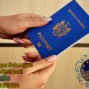 Фотография "Vize Europa(Schengen) pe 6-9-12-18 luni. Fara avans doar cu pasaportul si buletinul. Sigur si Rapid 100%. Viza permite libera circulatie in 26 de tari (Italia, Germania, Franta, Polonia etc.) Pentru mai multe detalii Telefon-Viber-WhatsApp +37368659604"