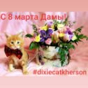 Фотография от ПИТОМНИК Dixiecat