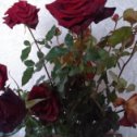 Фотография "Крайний букет роз с дачи."