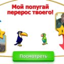 Фотография "Татьяна, мой попугая перерос твоего. Попробуй догони! http://www.ok.ru/game/1142001664"