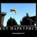 Фотография "!!!!!!!!!!!!!!!!!!!!!!!!!!!!!!!!!!!!!!!!!!!!!!!!!!!!!!!!!!!!!!!!!!!!!!!!!!!!!!!!!!!!!!!!!!!!!"