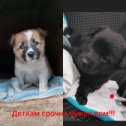 Фотография от Квартира по суточно Дальнегорск