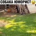 Фотография от Людмила Спринчан Носкова