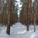 Фотография от Павел Болагачев