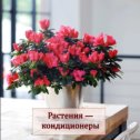 Фотография от Flowers Kerch