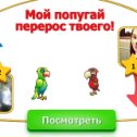 Фотография "Алинка, мой попугая перерос твоего. Попробуй догони! http://www.ok.ru/game/1142001664"