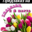 Фотография "Успейте сделать предзаказ тюльпанов к 8 Марта по самой выгодной цене* 😉
У нас вы можете забронировать сейчас цветок, оставив за собой самую низкую цену свежих и красивых тюльпанов.
 
❗К 8 Марта цена вырастет❗ Бронируйте сейчас, чтобы количества цветка хв"
