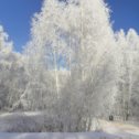 Фотография от Анатолий Пенчев