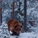 Фотография от Роза Вознина(Нуруллина)