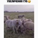 Фотография от Татьяна Путинцева