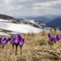 Фотография от Елена Хорошева