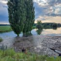 Фотография "Меренешты 29.06.20
Красивый пейзаж, но грязно."